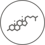 Cholesterol Icon