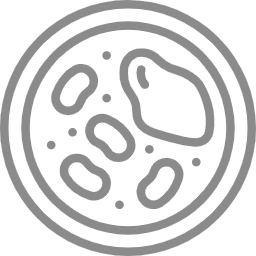 Dual Antiplatelet Action Icon