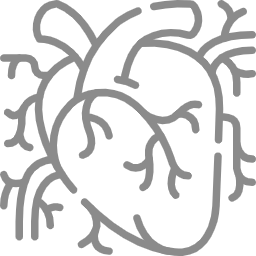 Cardiovascular Risk Reduction Icon